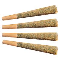 Fuego - Night Rider Pre Roll