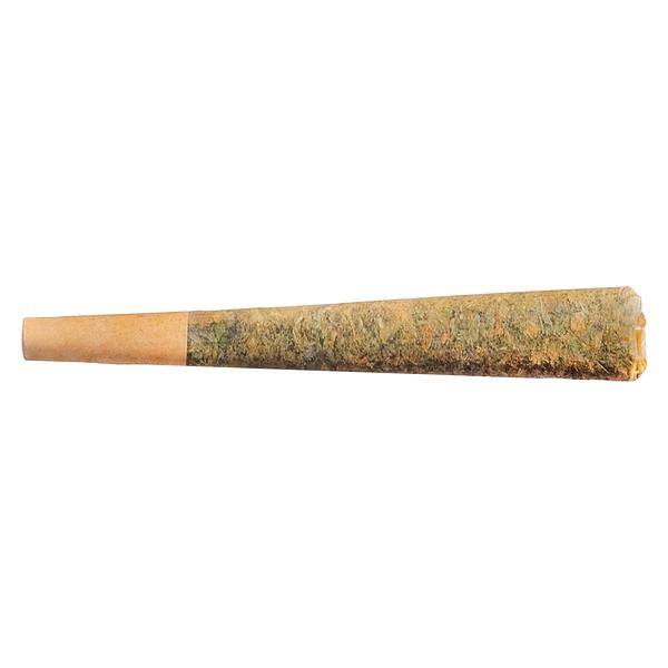 Fuego - Night Rider Pre Roll image 3