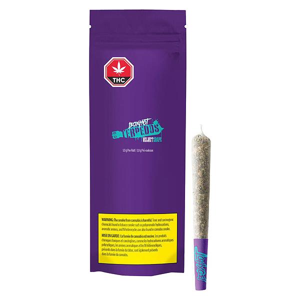 BOXHOT - Terpedos - Velvet Grape Pre Roll image 5