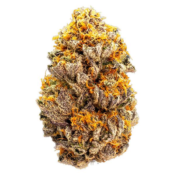 WAZA - Mini Shinken image 1