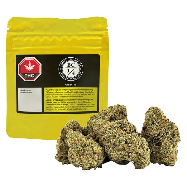 BC 1/4 - G13 Bx1 image 4