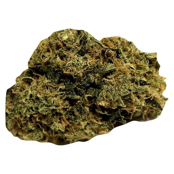 Ripped - Zone Out image 1