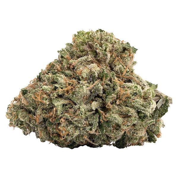 WINK - Gas Nasty (BMS x GMO)  image 1