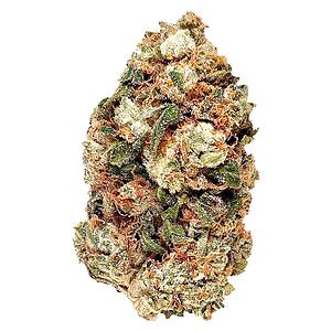 BC Green - Frosted Gumbo