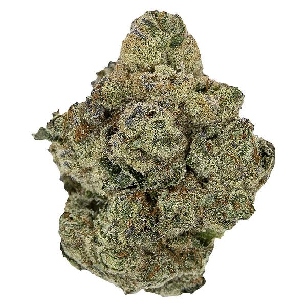 Pistol and Paris - Rockstar image 1