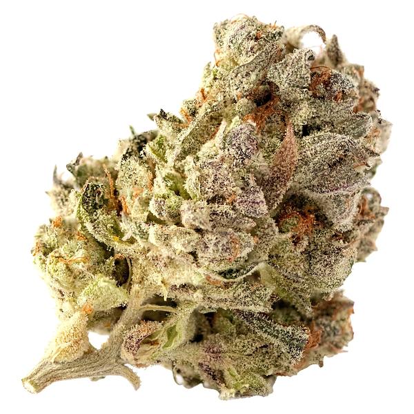 Highland Special - Cherry Park Pie image 1