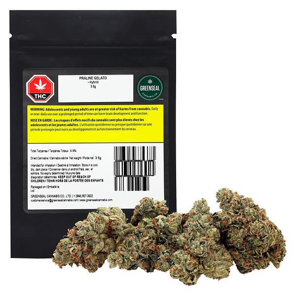 GreenSeal - Praline Gelato Hybrid image 4