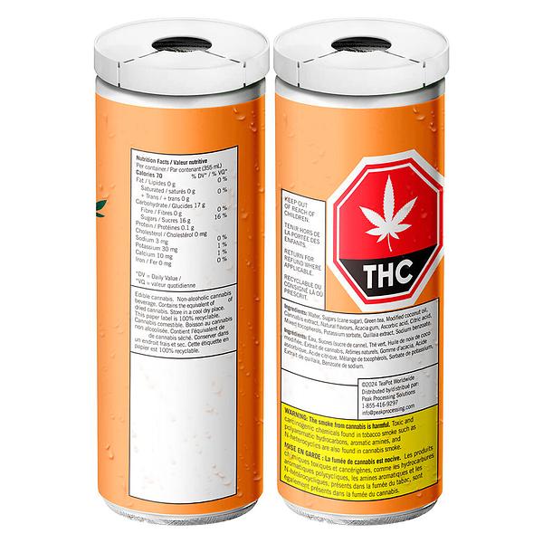 TeaPot - Good Day Iced Tea Mango Green Tea image 2