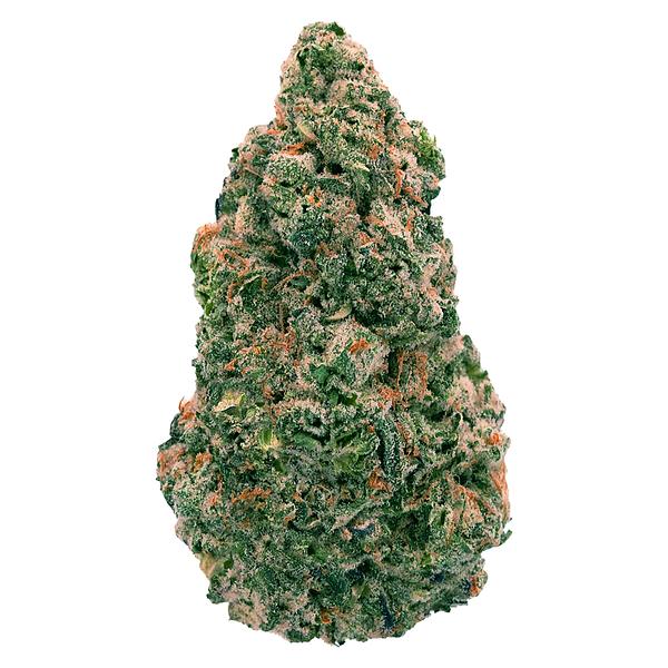 Back Forty - Wedding Pie image 1