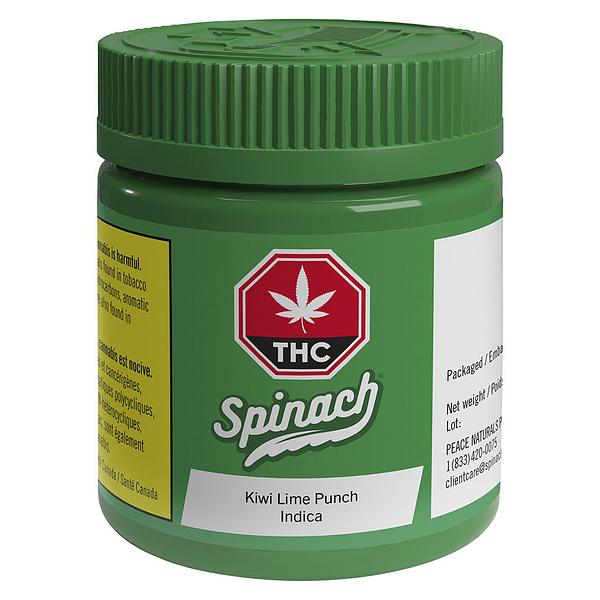 Spinach - Kiwi Lime Punch image 2