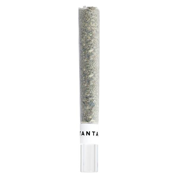 Tantalus - Mai Tai X Zero Gravity Glass Tip Pre Roll image 1