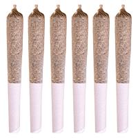 Station House - White Widow Pre Roll