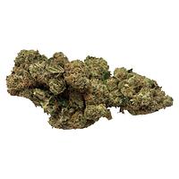 One King - King's Cake Flower