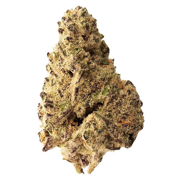 The Loud Plug - Platinum Punch image 1