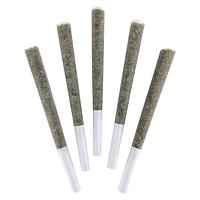 DEALR - Tokyo Sunset Pre-Roll