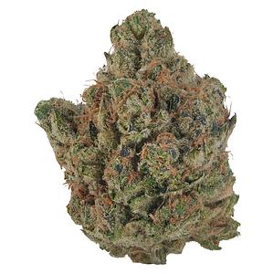 VOLO - Orange Turpentine