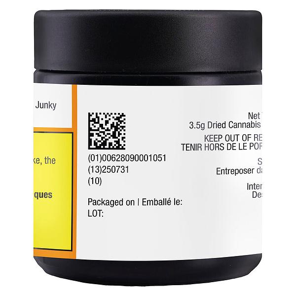 VOLO - Orange Turpentine image 3