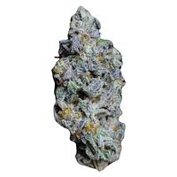 Frost Cannabis - Wet Cherry