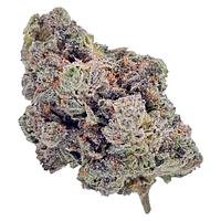 HighXotic - Royal Dive #4: Goofiez