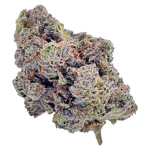 HighXotic - Royal Dive #4: Goofiez