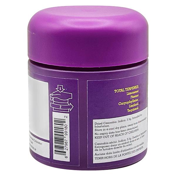 HighXotic - Royal Dive #4: Goofiez image 3