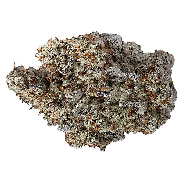 VOLO - Beast Jars image 1