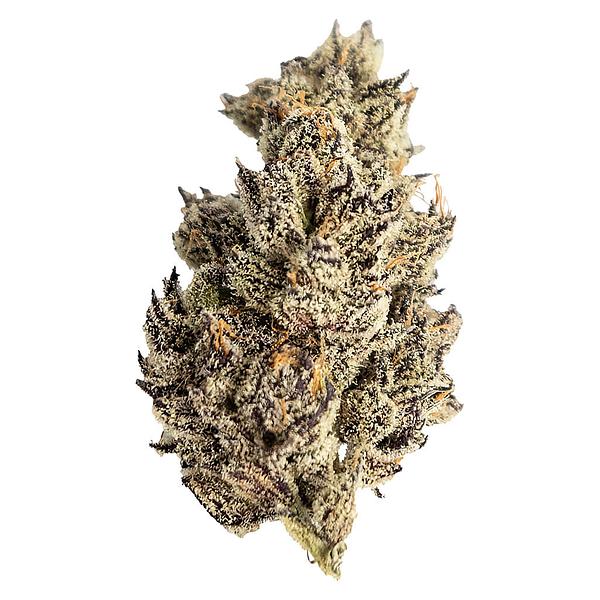 Seaweed - James' Celebration: Craft Small Batch Rotational image 1