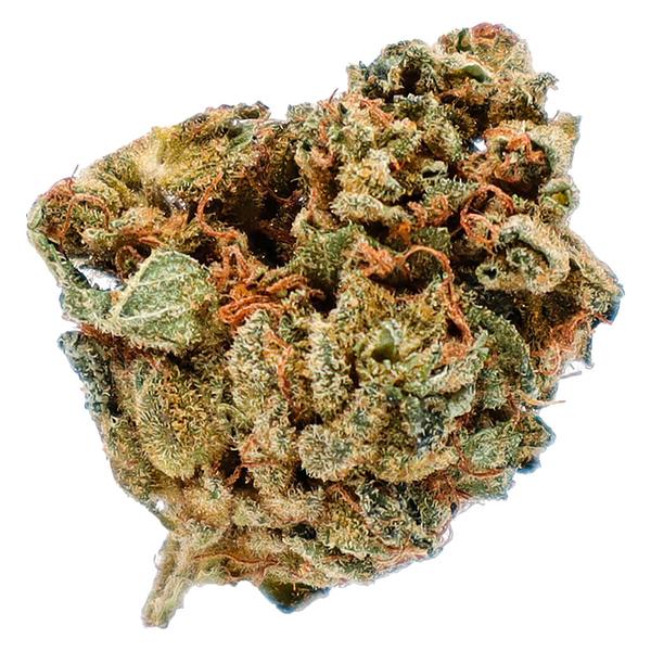 Potluck - Orange Layer Cake image 1