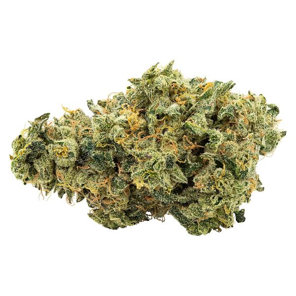 Trailblazer - Lemonade Haze image 3