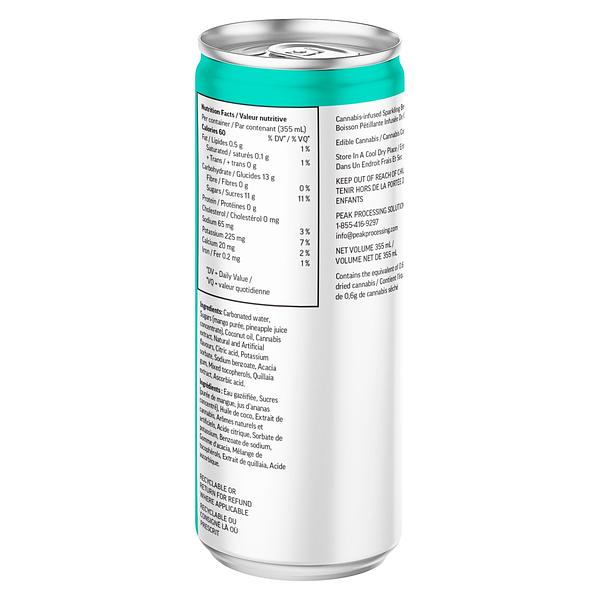 Collective Project - Island Time (Mango Pineapple & Coconut) Sparkling Juice image 2