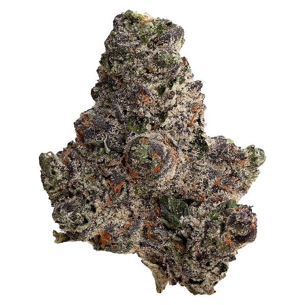 Original Dankster - Trapstar image 1