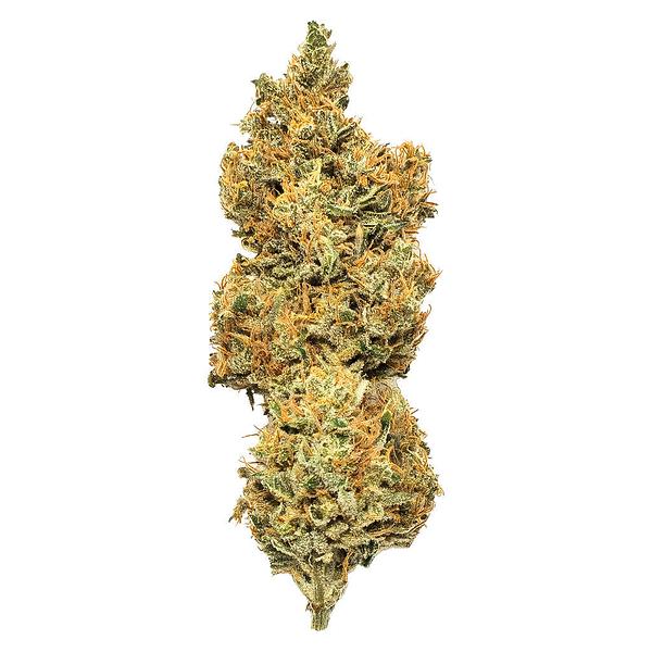 Mendo Select - Royal Moby image 1