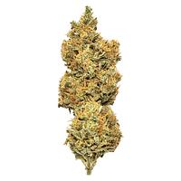 Mendo Select - Royal Moby