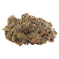 Pineapple Buds - Violet G*shers