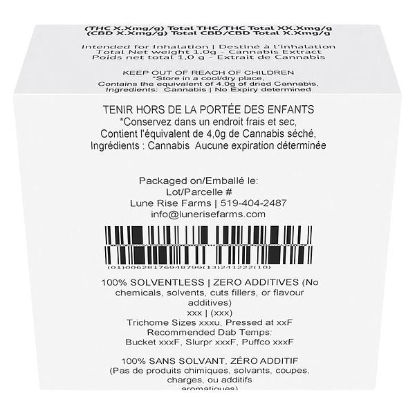 PERSY - Melt image 3