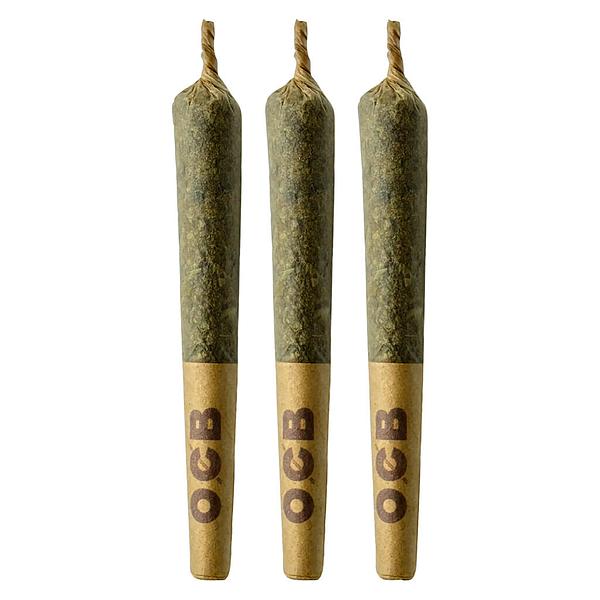 Coterie - Blue Ztarburzt Pre-Roll image 1