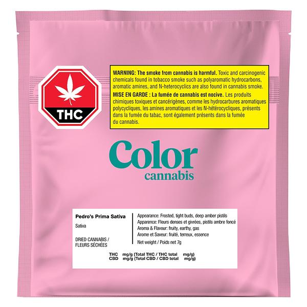 Color Cannabis - Pedro's Prima Sativa image 2
