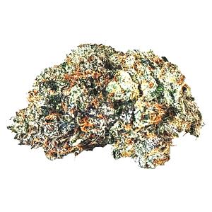 MTL Cannabis - Gas N' Up