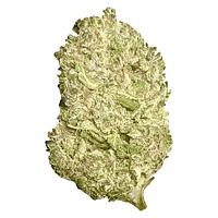 FatCat - AAAA Kush