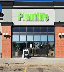 Plantlife Cannabis - Olds store front