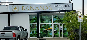 Highlife - Chelmsford store front