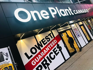 One Plant - Toronto - Yonge & Dundas store front