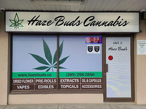 Haze Buds Cannabis store front