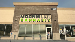Moonwlkr Cannabis - Brampton store front
