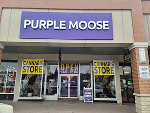 Purple Moose - Lawrence Ave W store front