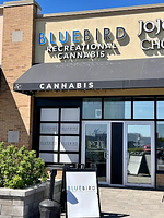 The BlueBird Cannabis Co store front