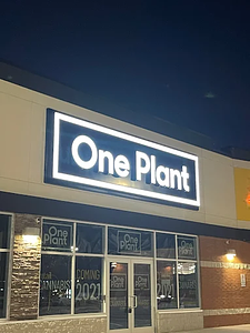 One Plant - North Bay store front