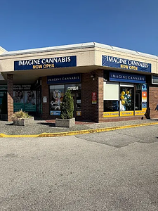 Imagine Cannabis - Guildford store front
