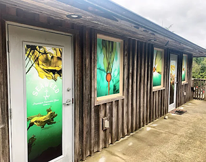 Tofino Seaweed store front