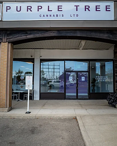 Purple Tree Cannabis - Mississauga store front